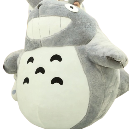Peluche Totoro Charmeur