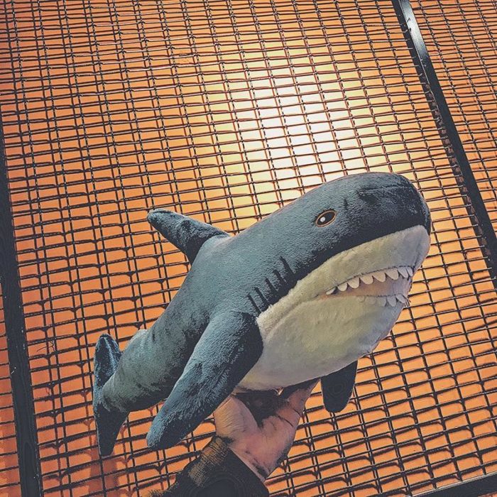 product-image-1241129169