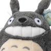 totoro_5-removebg-preview
